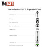 Yocan Evolve Plus XL Rasta Edition QUAD Quartz Coil Wax Pen